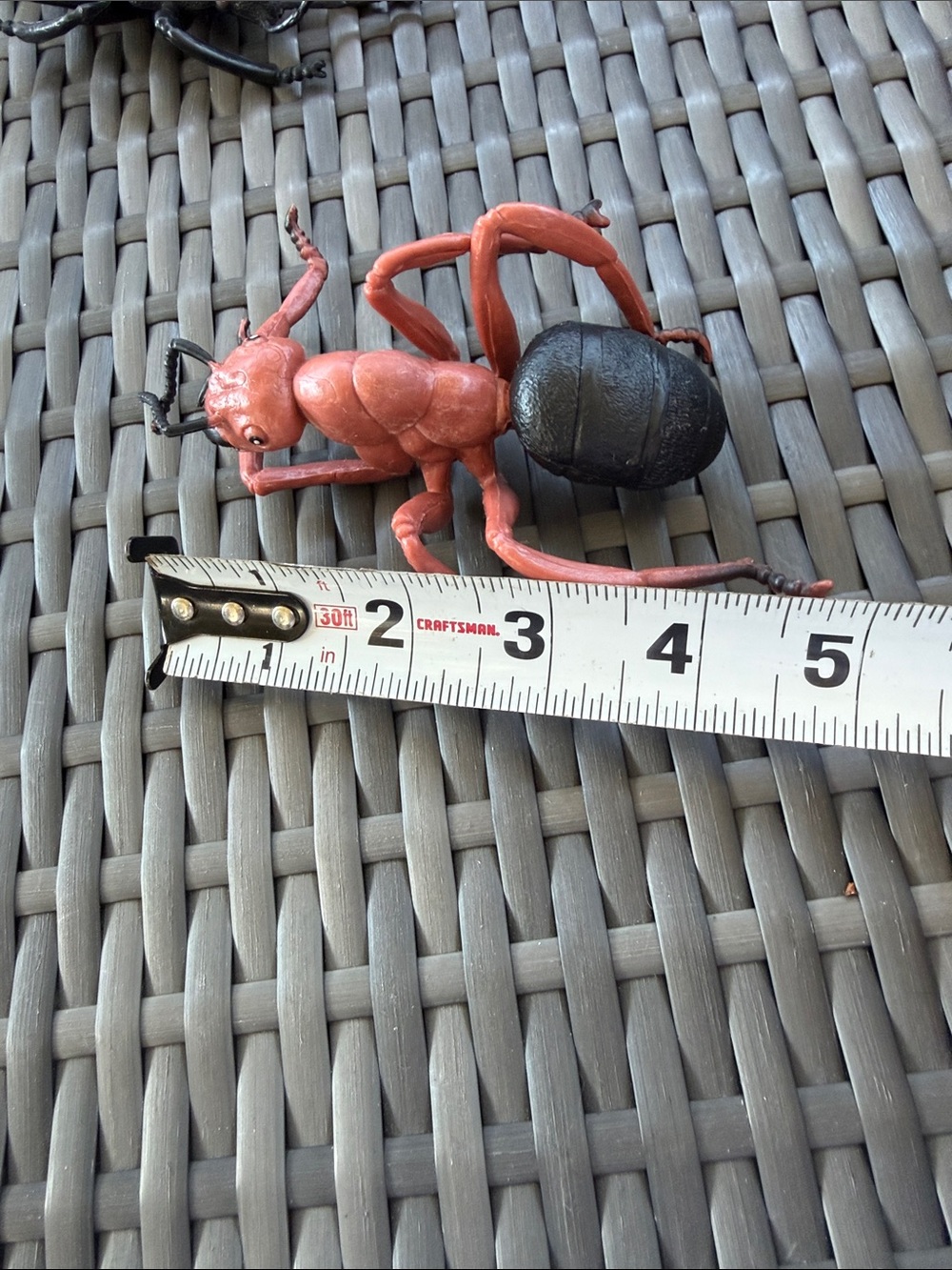 Assorted large  Toy Insects - Multicolor Pack - Picture 3 of 7